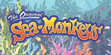 Sea Monkeys wholesale