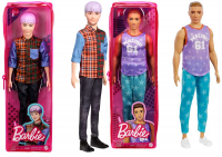Wholesalers of Barbie Fashionista Ken Dolls Assorted toys image 3