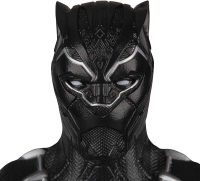Wholesalers of Black Panther 12in Titan Hero Figure Asst toys image 3