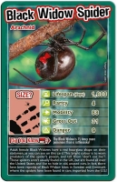 Wholesalers of Top Trumps - Bugs toys image 3