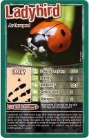 Wholesalers of Top Trumps - Bugs toys image 4
