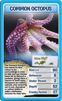 Wholesalers of Top Trumps - Creatures Of The Deep toys image 4