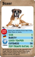 Wholesalers of Top Trumps - Dogs toys image 4