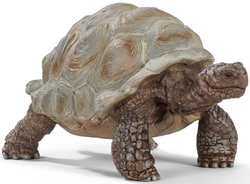 Wholesalers of Schleich Giant Tortoise toys