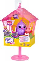 Wholesalers of Little Live Pets Lil Bird And Cage S12 toys image 3