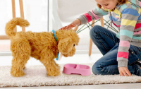 Wholesalers of My Fuzzy Friends - Moji The Lovable Labradoodle toys image 4