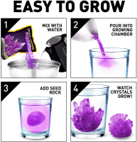 Wholesalers of National Geographic Crystal Growing Kit - Purple toys image 4