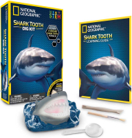 Wholesalers of National Geographic Shark Teeth Dig Kit toys image 2
