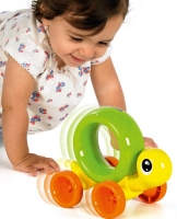 Wholesalers of Play To Learn Push N Chase Turtle toys Tmb