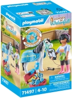 Wholesalers of Playmobil Horses Of Waterfall: Horse Therapist toys Tmb