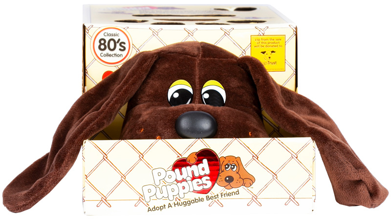 Wholesalers of Pound Puppies Classic - W2 Dogs Trust Dark Brown toys