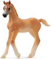 Wholesalers of Schleich Arab Foal toys image