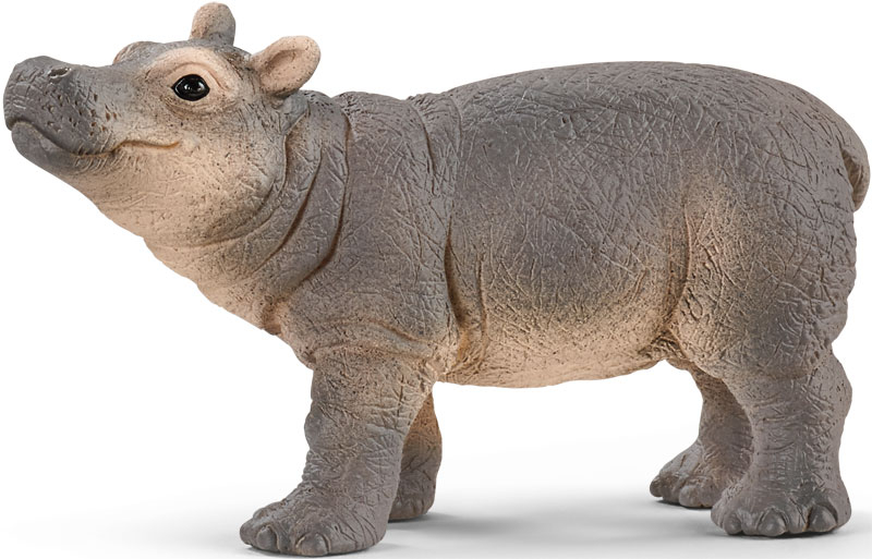 Wholesalers of Schleich Baby Hippopotamus toys