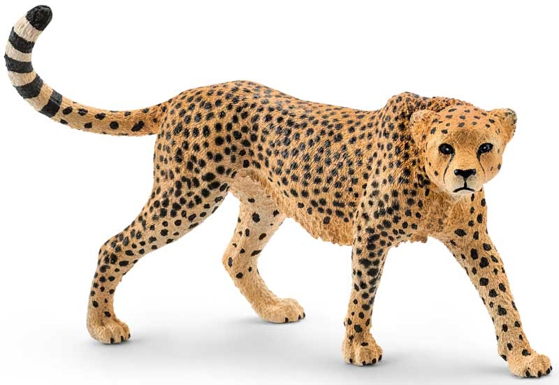 Wholesalers of Schleich Cheetah Female toys
