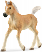 Wholesalers of Schleich Haflinger Foal toys image