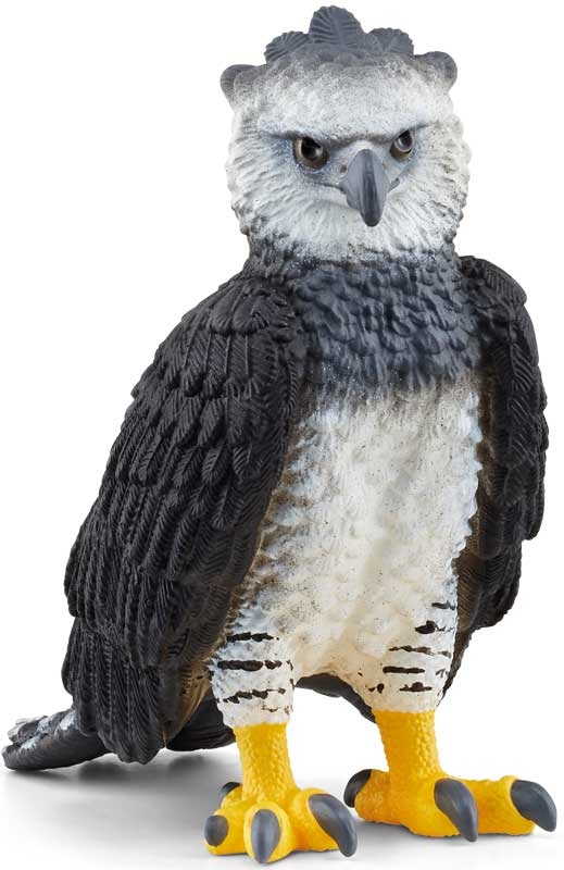 Wholesalers of Schleich Harpy Eagle toys