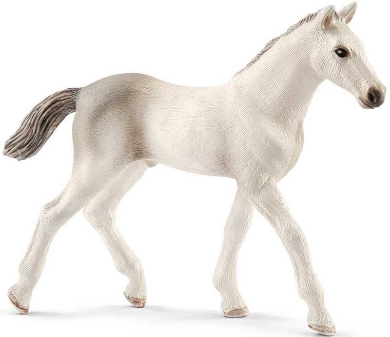 Wholesalers of Schleich Holsteiner Foal toys