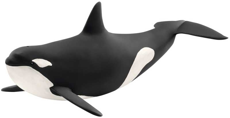 Wholesalers of Schleich Killer Whale toys