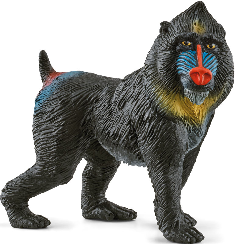 Wholesalers of Schleich Mandrill toys
