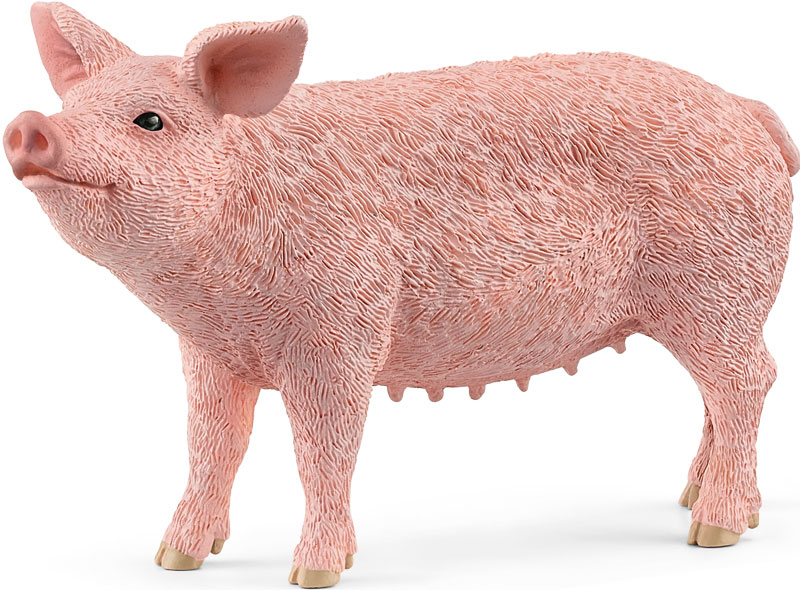 Wholesalers of Schleich Pig toys