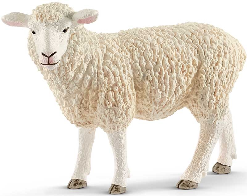 Wholesalers of Schleich Sheep toys