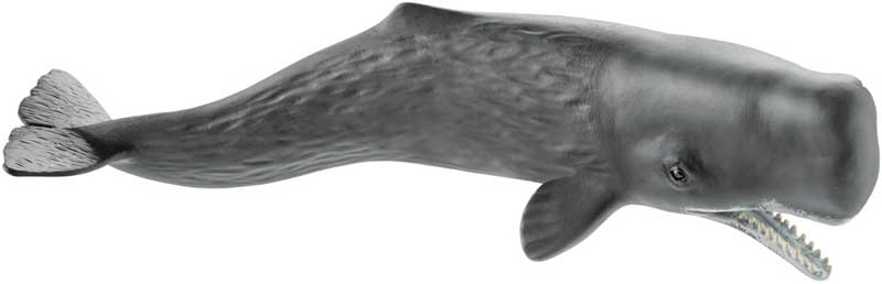 Wholesalers of Schleich Sperm Whale toys