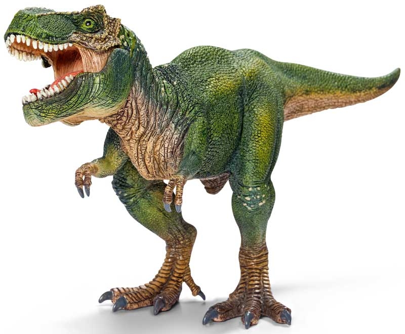 Wholesalers of Schleich Tyrannosaurus Rex toys