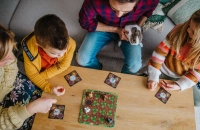 Wholesalers of Smart Games - Grabbit toys image 4