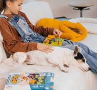 Wholesalers of Smart Games - Smart Dog toys image 3