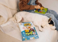 Wholesalers of Smart Games - Smart Dog toys image 5