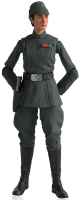 Wholesalers of Star Wars Black Series  Tala Imperial Officer toys image 3
