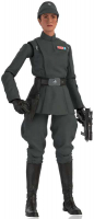 Wholesalers of Star Wars Black Series  Tala Imperial Officer toys image 4