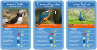 Wholesalers of Top Trumps Birds toys image 2