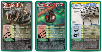Wholesalers of Top Trumps Bugs toys image 2