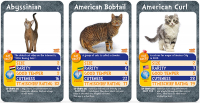 Wholesalers of Top Trumps Cats toys image 2