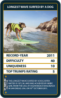 Wholesalers of Top Trumps Guinness World Records toys image 2