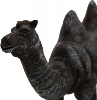 Wholesalers of Toy Animals - Cara Camel toys Tmb