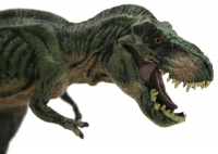 Wholesalers of Toy Dinosaurs - Tyler Tyrannosaurus toys image 3