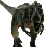 Wholesalers of Toy Dinosaurs - Tyler Tyrannosaurus toys image 4
