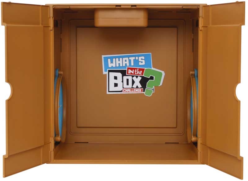 What's In the Box Challenge Game 