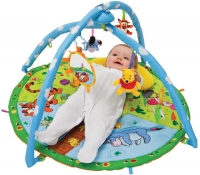 Wholesalers of Winnie The Pooh Magic Motion Play Gym toys image 2