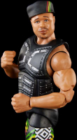 Wholesalers of Wwe D-lo Brown toys image 5