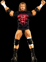 Wholesalers of Wwe Triple H toys image 4